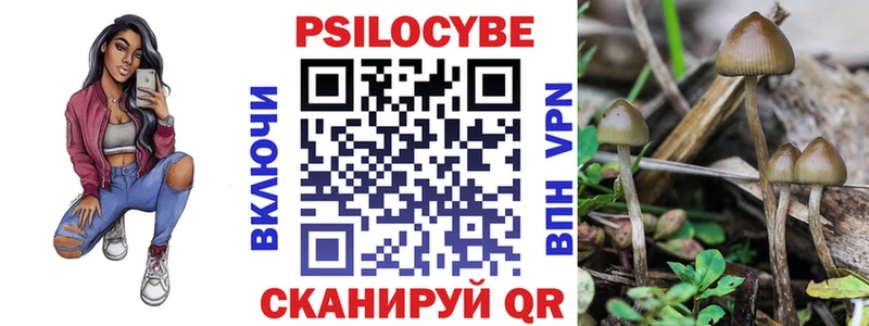 Псилоцибиновые грибы Psilocybine cubensis  Райчихинск 
