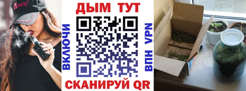 купить   Райчихинск  сайты даркнета как зайти  Бошки Шишки гибрид 